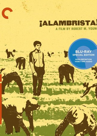 今天正版四不像