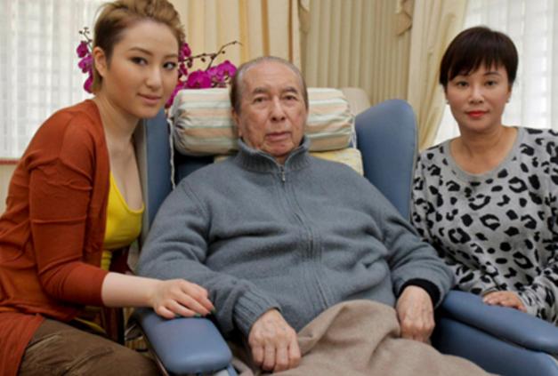 澳門精準四肖期期準免費公式亮點解析，澳門精準四肖期期準免費公式揭秘與亮點解析