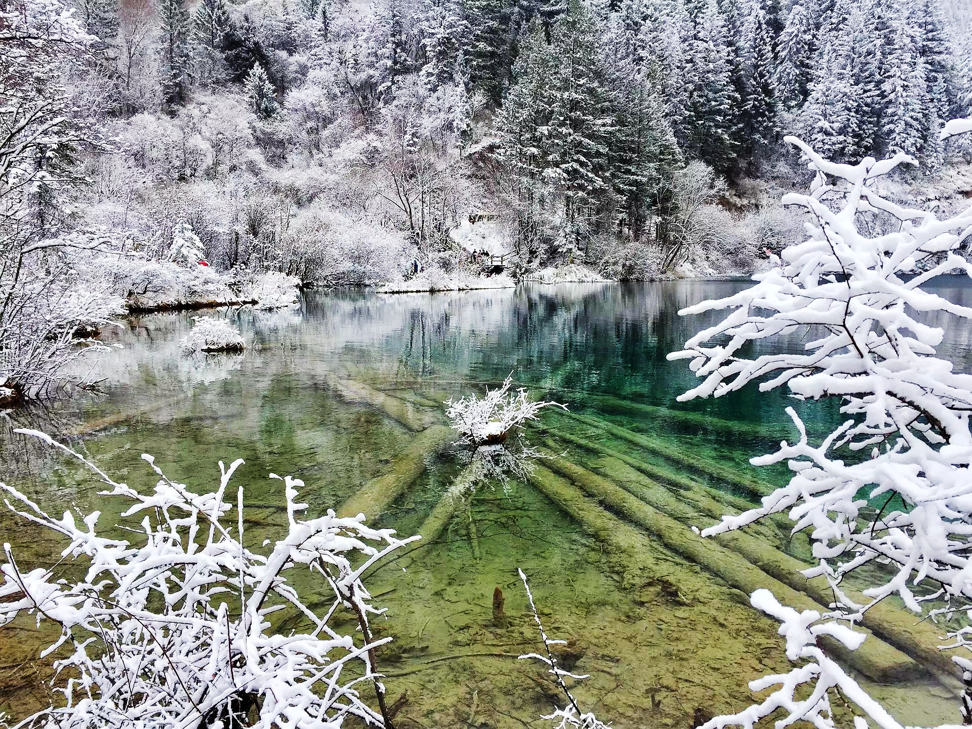 冬季的九寨溝值得一去嗎？——一場冰雪奇緣的探尋之旅，冬季九寨溝探秘，冰雪奇緣的絕美之旅