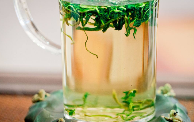 荷葉泡水喝竟有6個害處，你需要知道的重要信息，荷葉泡水喝的六大潛在害處，重要信息須知