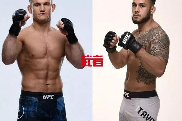 澳門六開獎(jiǎng)結(jié)果記錄圖，探索彩票背后的秘密，澳門六開獎(jiǎng)結(jié)果記錄圖揭秘彩票背后的秘密