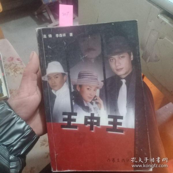 王中王中資料一肖中持，深度解析與SEO洞察，王中王中資料深度解析與SEO洞察一探究竟