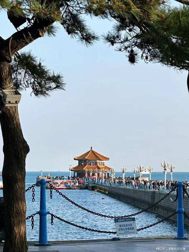 青島三天兩夜旅游攻略，探索海濱城市的魅力，青島三日兩夜旅游攻略，海濱城市魅力探索之旅