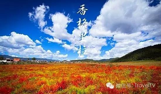 金秋十月，探尋最適合你的旅游目的地，金秋十月，探尋最佳旅游目的地之旅