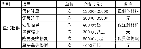 鼻子美容手術(shù)費用詳解，多少錢？，鼻子美容手術(shù)費用全面解析，手術(shù)費用究竟是多少？