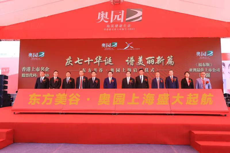 奧園美谷股票，投資潛力與前景展望，奧園美谷股票投資潛力與前景展望分析