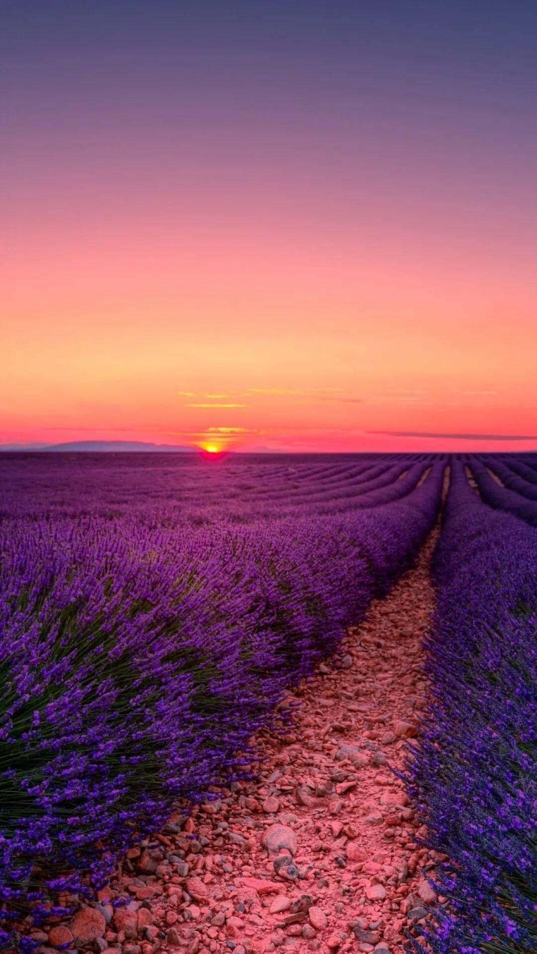 揭秘劉伯溫一肖六碼中特之謎，探尋背后的故事與真相，劉伯溫一肖六碼中特背后的故事與真相揭秘