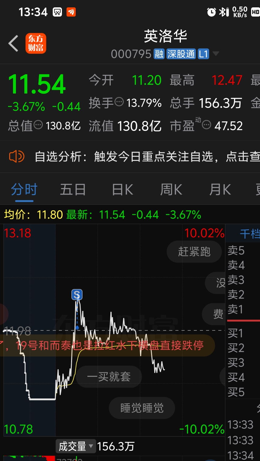 英洛華股票行情深度解析，英洛華股票行情全面解析